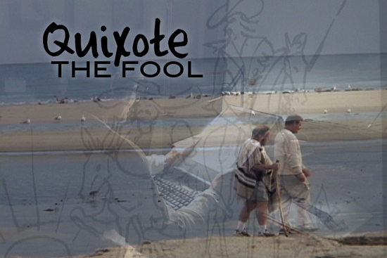 Quixot the Fool
